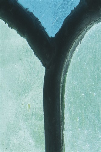 Tropical Type Y - Coastal - Mike Toy