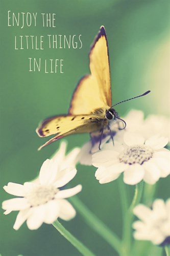 Enjoy the Little Things - Andreas Stridsberg