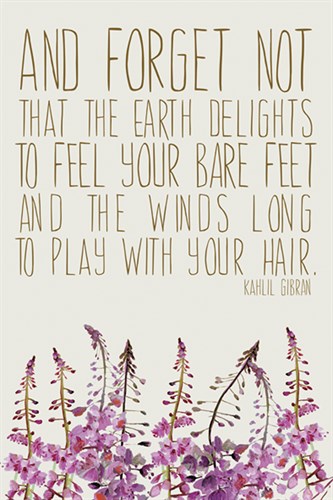 Forget Not - Anahata Katkin