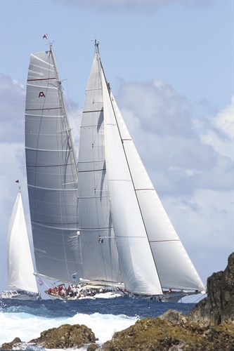 Noble Sail - Ingrid Abery