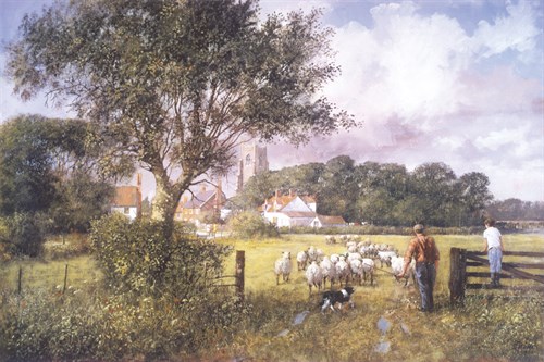 Into New Pastures - Clive Madgwick