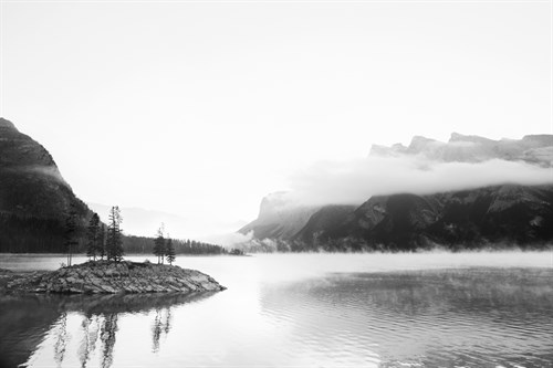 Standing Still - Irene Suchocki
