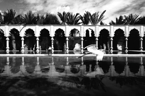 Mirage I - Malcolm Sanders