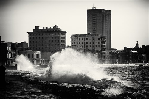 Havana Crest - Lee Frost