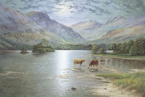 Highland Cattle - Spencer Coleman