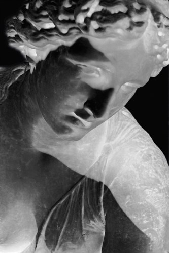X-ray - Louvre I - Tony Koukos