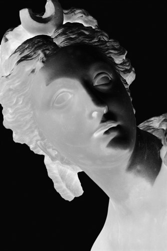X-ray - Louvre III - Tony Koukos