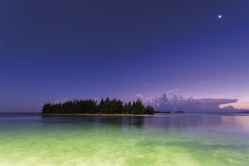 Paradise - Andrew Geiger