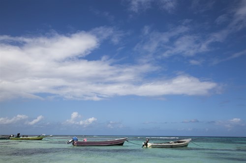 Utila - Andrew Geiger