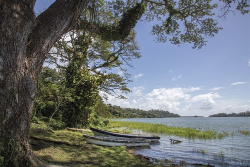 Sambo Creek - Andrew Geiger
