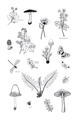 Nature Gathering - Clara Wells