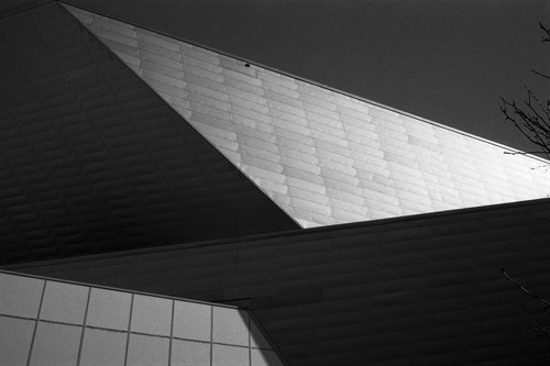 Film Noir - Museum - Andy Burgess