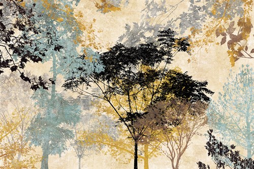 Forest Ambience - Sasha Blake
