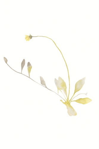 Flourish Charm - Kristine Hegre