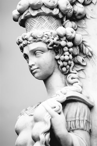 Pillared Beauty - Irene Suchocki