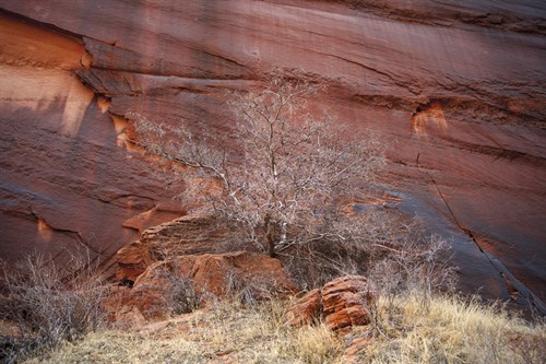 Red Stone - Andrew Geiger