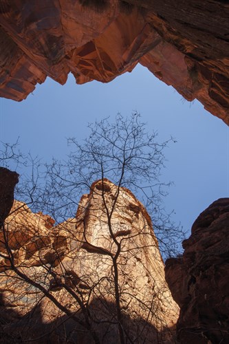 A Shaded Perspective - Andrew Geiger
