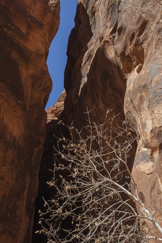 A Shaded Spot - Andrew Geiger