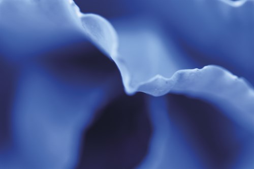 Indigo Reflection - Gaetan Caron