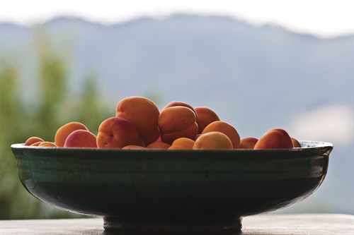 Bowl of Apricots - Gaetan Caron