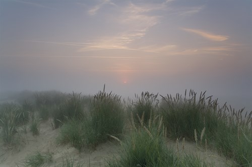 Beach Light - Peter Adams