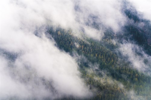 Mist in the Mountains - Matt Roseveare