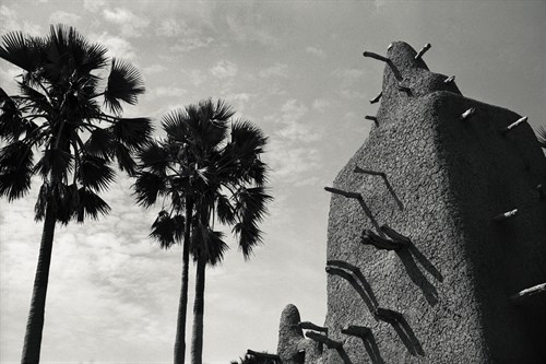 Palms and Adobe - Andrew Geiger