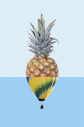 Pine Float - Amy Shaw