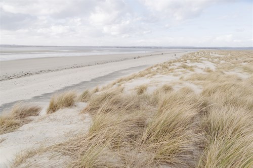 Coastal Walk - John Harper