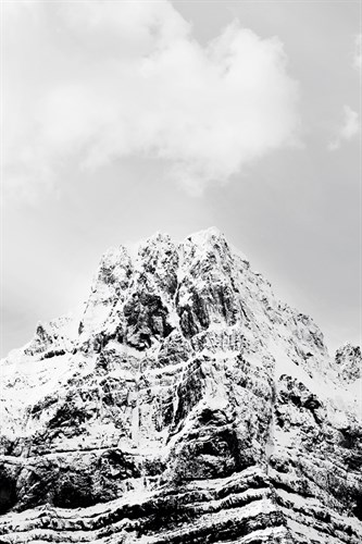 The Summit Anew - Irene Suchocki