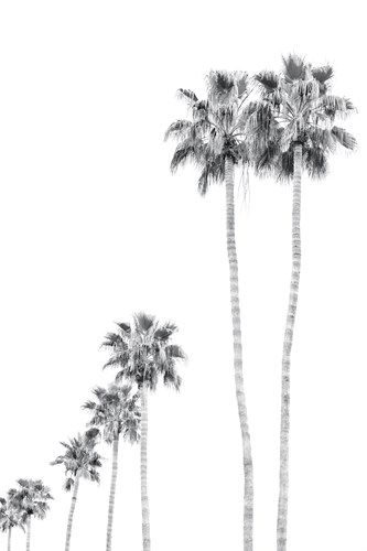 Mahina Boulevard Fresh - Irene Suchocki