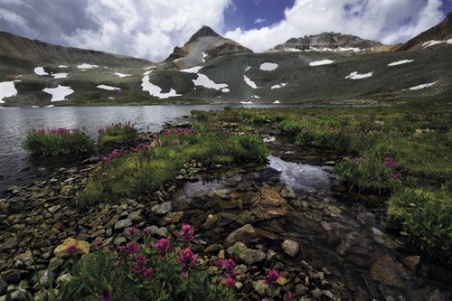 Beginnings of Spring - Michael Greene