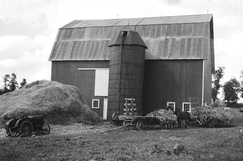 The Old Barn - The Vintage Collection