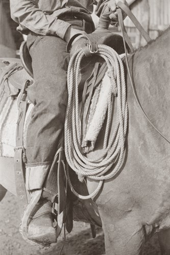 Rawhide Reata - Kernud Hansen