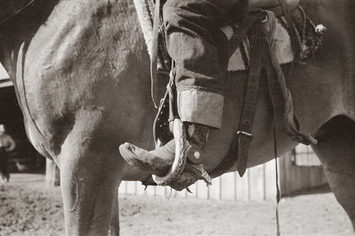 Stirrup Style - Kernud Hansen