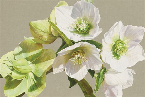 Gazing into the Sunshine - Sarah Caswell