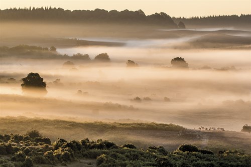 On The Horizon - Matt Roseveare