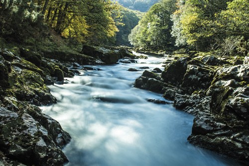 River Winding - Matt Roseveare