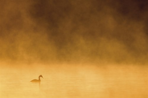 Mystic Dawn - Solo - Matt Roseveare