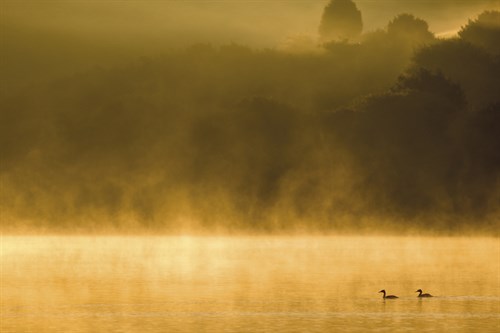 Mystic Dawn - Duet - Matt Roseveare
