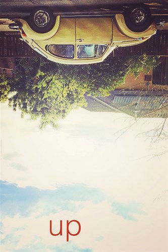 Bug Up Sidedown - Urban Octopus