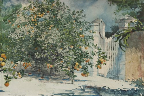 Orange Trees - Winslow Homer