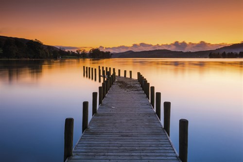 The View Ahead - Tom Mackie