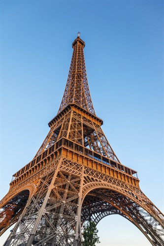 Paris Icon - Jon Arnold
