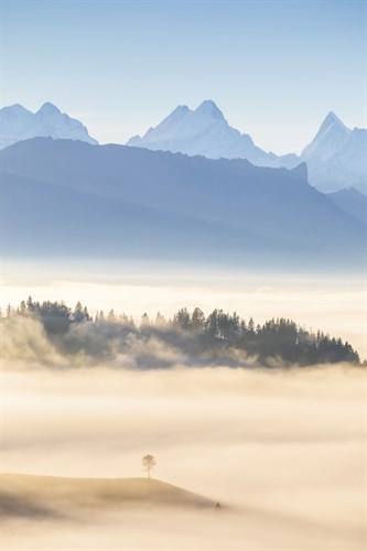 Delicate Dawn - Jon Arnold