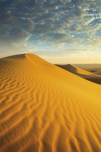 Desert Escape - Jon Arnold