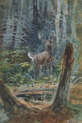 Deer in the Dell - Charles Marion Russell