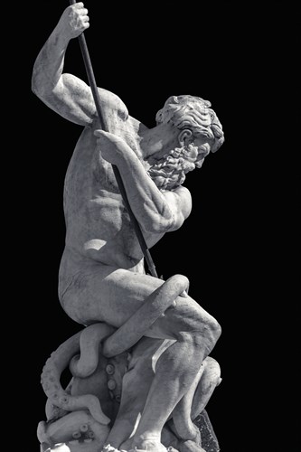 Neptune Spears Octopus - Noir - Alan Copson