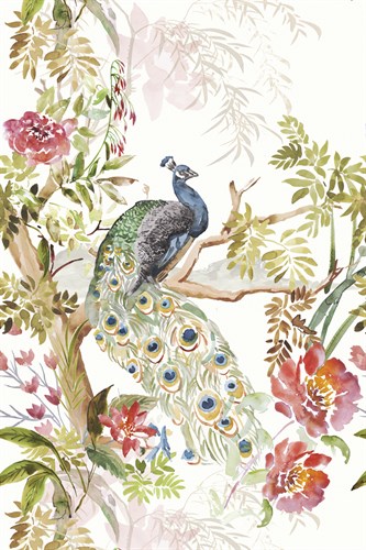 Peacock Perch - Stefan Jans