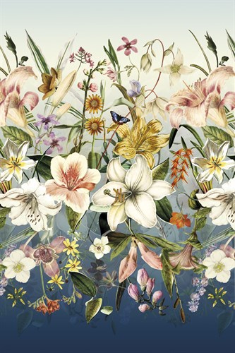 Orchids in Bloom - Stefan Jans